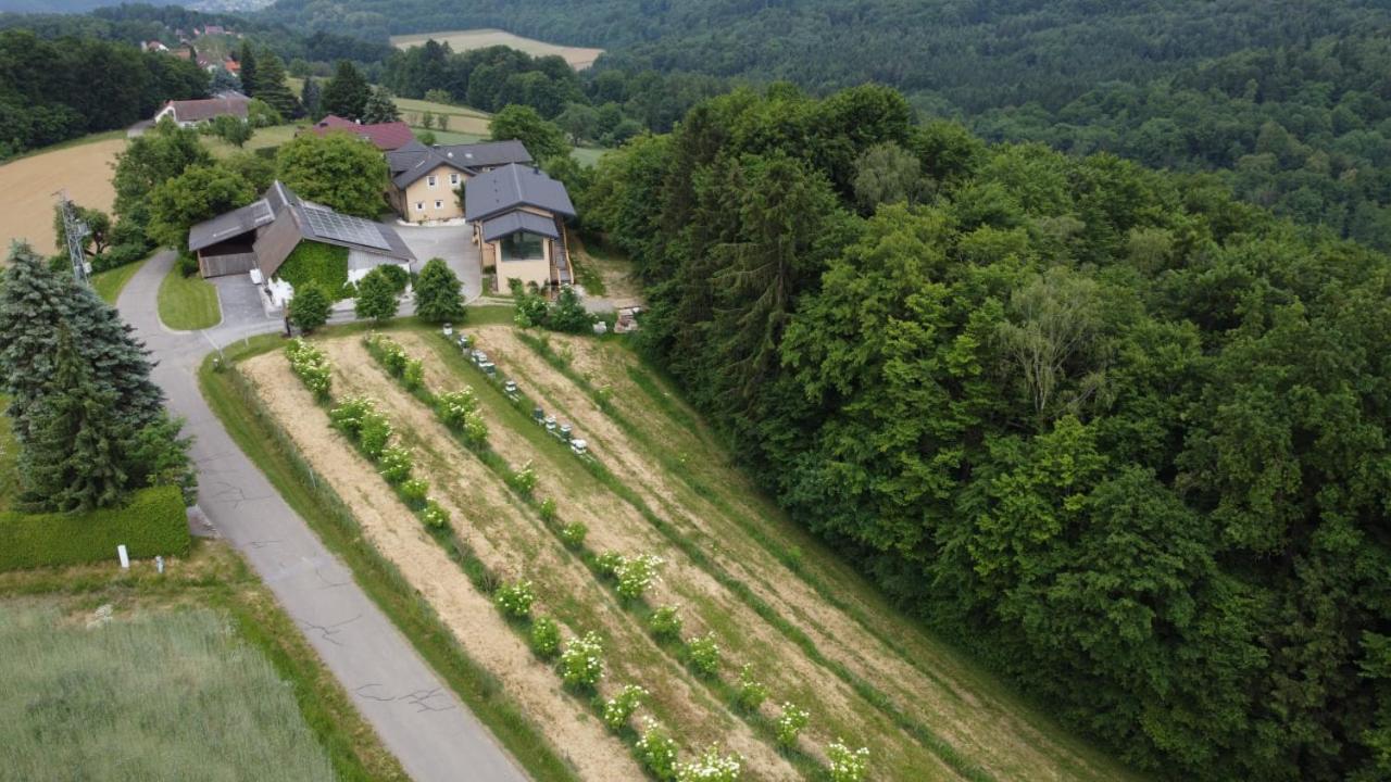 Beim Bergjosl Apartment Kirchbach in Steiermark ภายนอก รูปภาพ