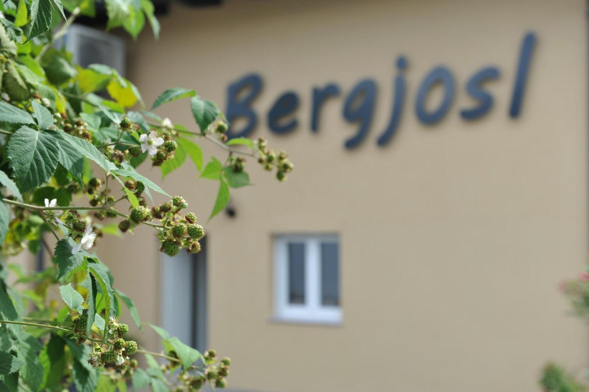 Beim Bergjosl Apartment Kirchbach in Steiermark ภายนอก รูปภาพ