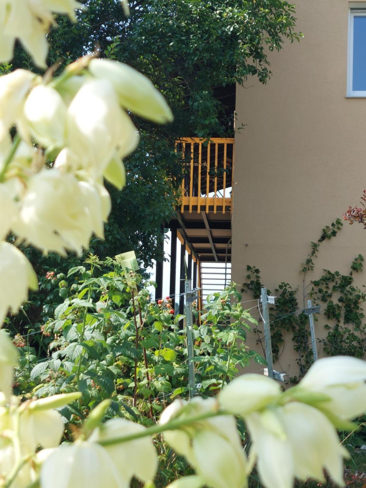 Beim Bergjosl Apartment Kirchbach in Steiermark ภายนอก รูปภาพ